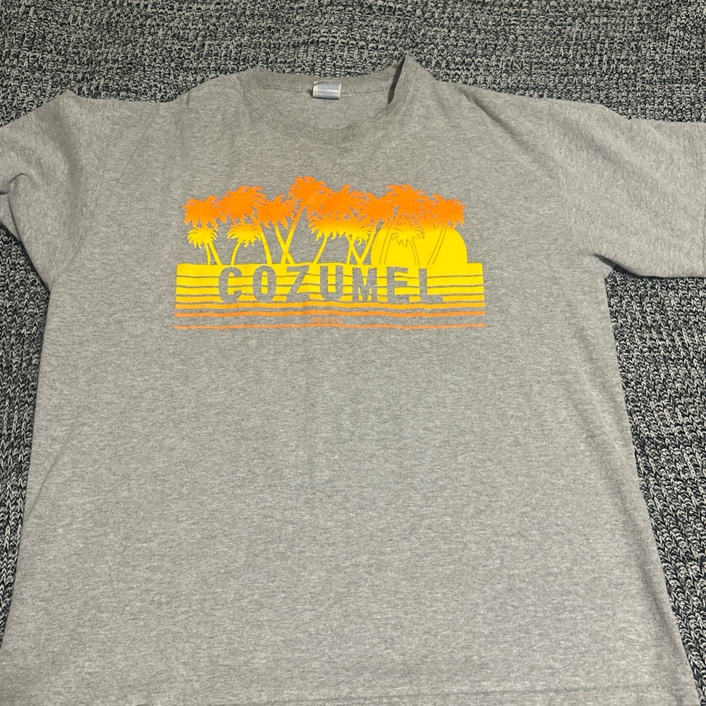Gray Cozumel Graphic T-Shirt